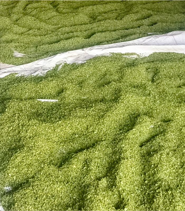 Organic farms avoid toxic inputs, improve soil health, grow clean, sustainable food that supports nature.